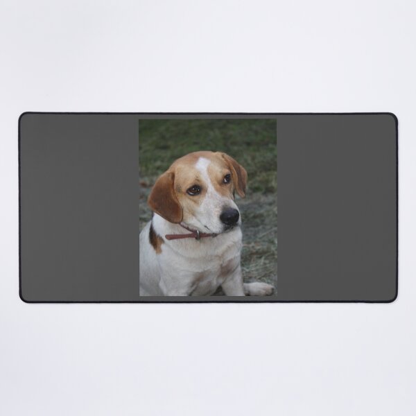 Item preview, What??? designed and sold by chstudios.