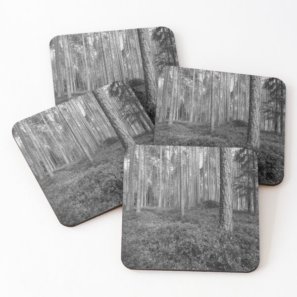Item preview, First signs of the fall.Seitseminen National Park bw designed and sold by Jouko Lehto Photography.