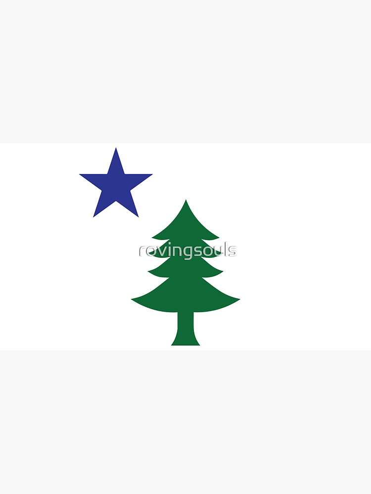 flag with pine tree and star