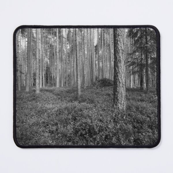 Item preview, First signs of the fall.Seitseminen National Park bw designed and sold by Jouko Lehto Photography.