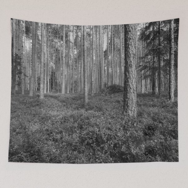 Item preview, First signs of the fall.Seitseminen National Park bw designed and sold by Jouko Lehto Photography.