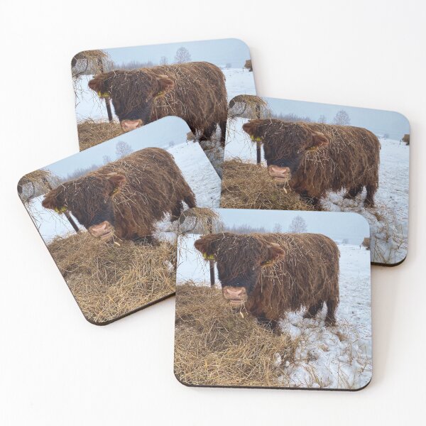 Item preview, Scottish Highland Cattle Calf in snow 2741 designed and sold by SaarelaHighland.