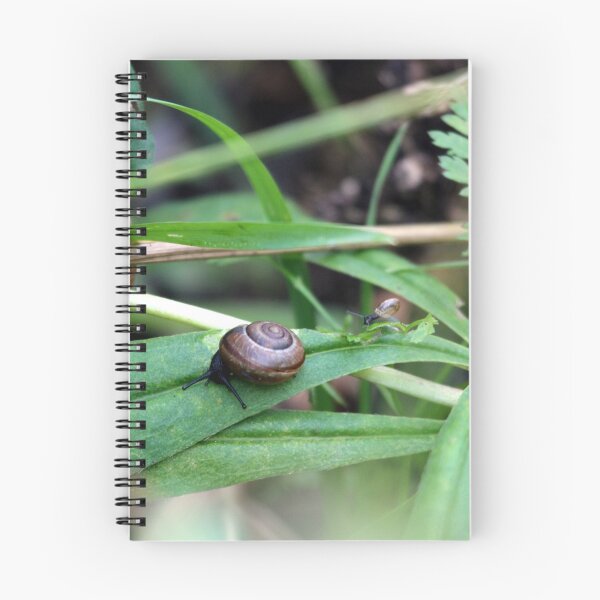 Item preview, Snails on a leaf path designed and sold by Matti Eskelinen.