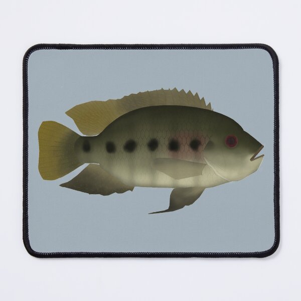 Item preview, Spotted Tilipia designed and sold by fishfolkart.