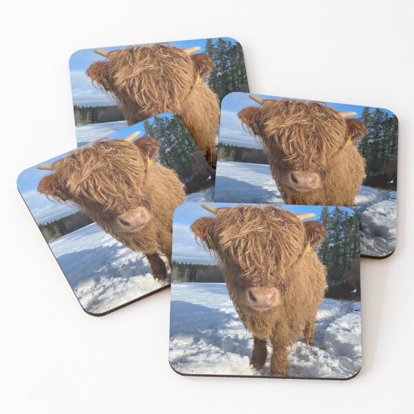 Item preview, Scottish Highland Cattle Calf in snow 2744 designed and sold by SaarelaHighland.