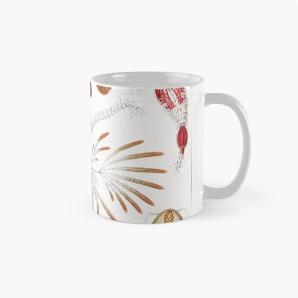 Item preview, Ernst Haeckel Copepod designed and sold by Quilar.