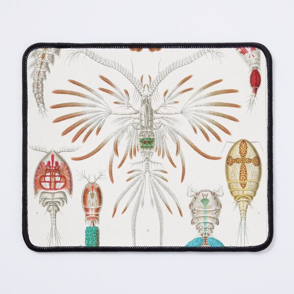 Item preview, Ernst Haeckel Copepod designed and sold by Quilar.