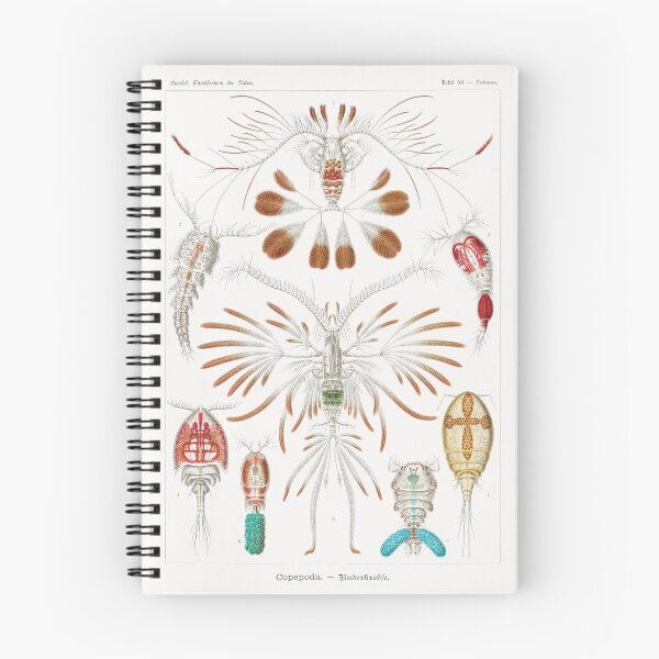 Item preview, Ernst Haeckel Copepod designed and sold by Quilar.