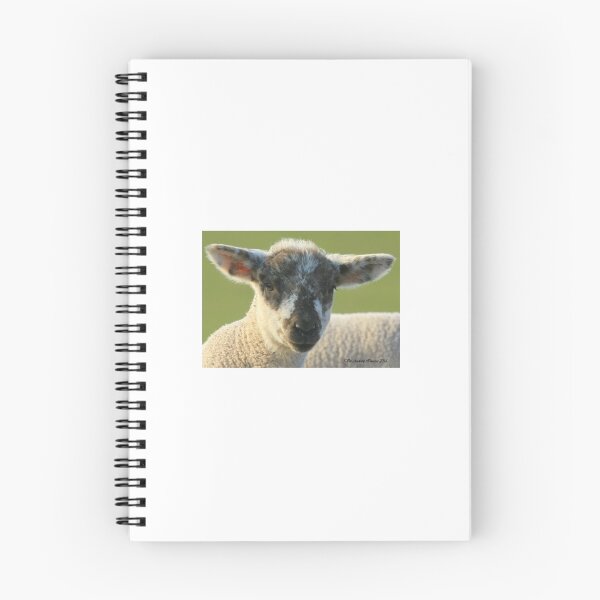 Item preview, Spring Lamb designed and sold by Viv Andrew.