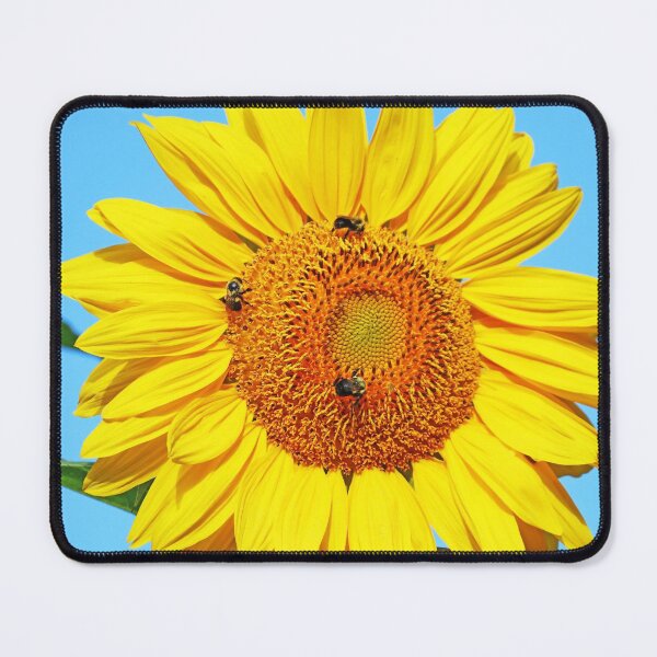 Item preview, Sunny Side Up designed and sold by Deb Oppermann.