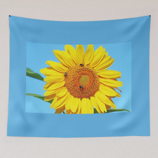 Item preview, Sunny Side Up designed and sold by Deb Oppermann.