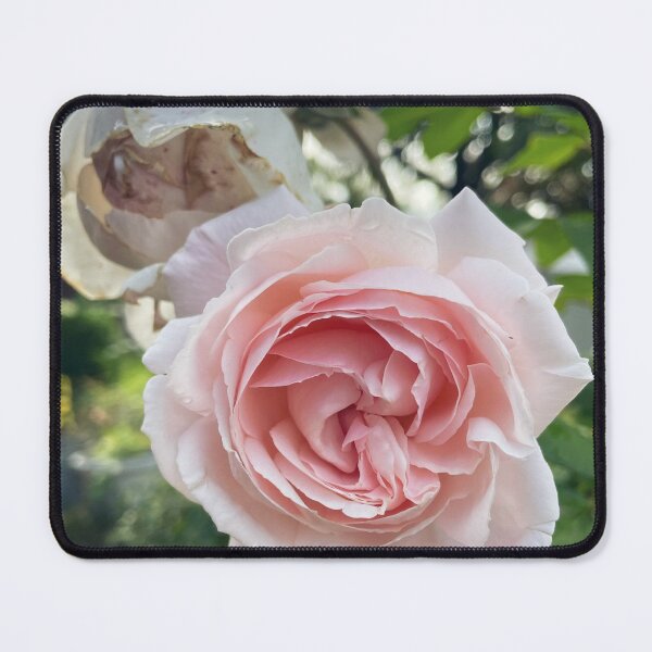 Artikelvorschau, Vintage Blumenserie #7 entworfen und verkauft von Timstarstudio.