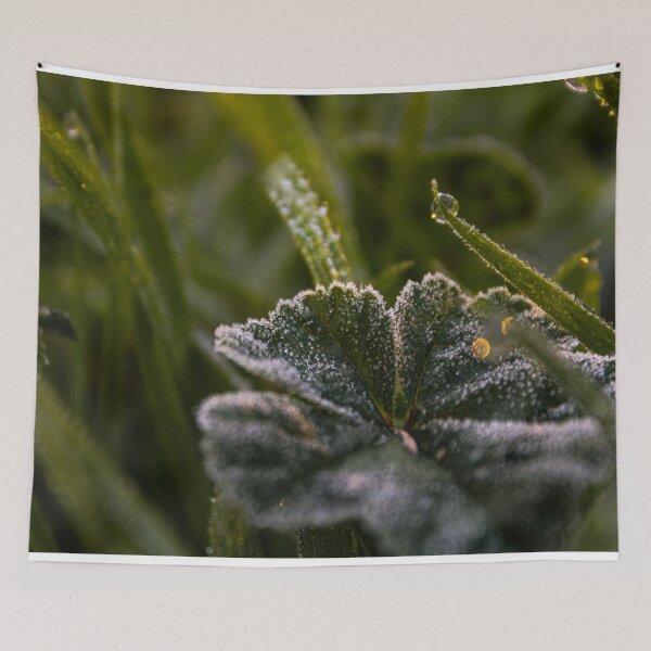 Artikelvorschau, H0119 Nieselregen entworfen und verkauft von photographyemd.