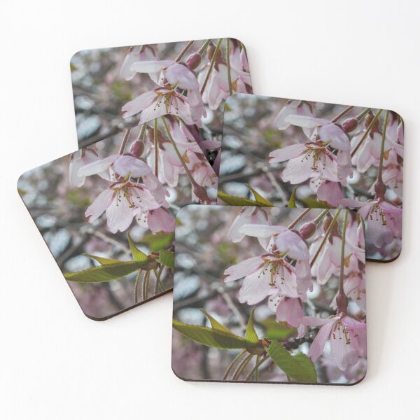 Item preview, H0120 Cherry Tree designed and sold by photographyemd.
