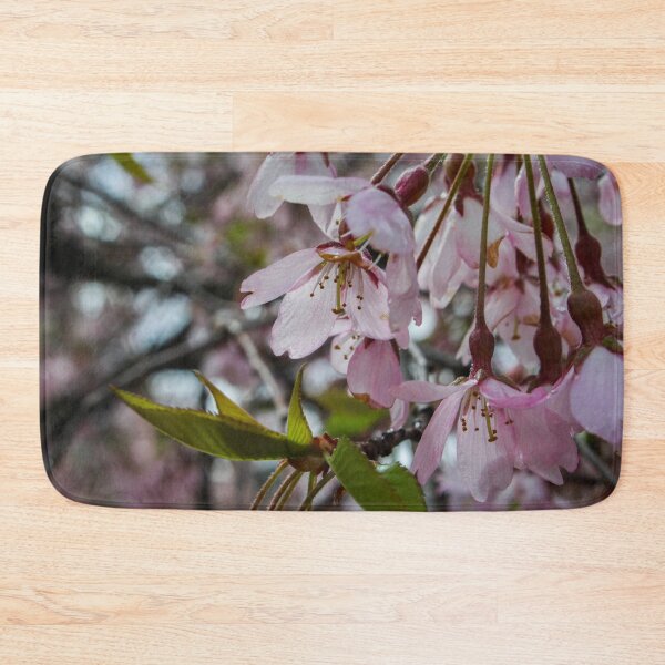 Item preview, H0120 Cherry Tree designed and sold by photographyemd.