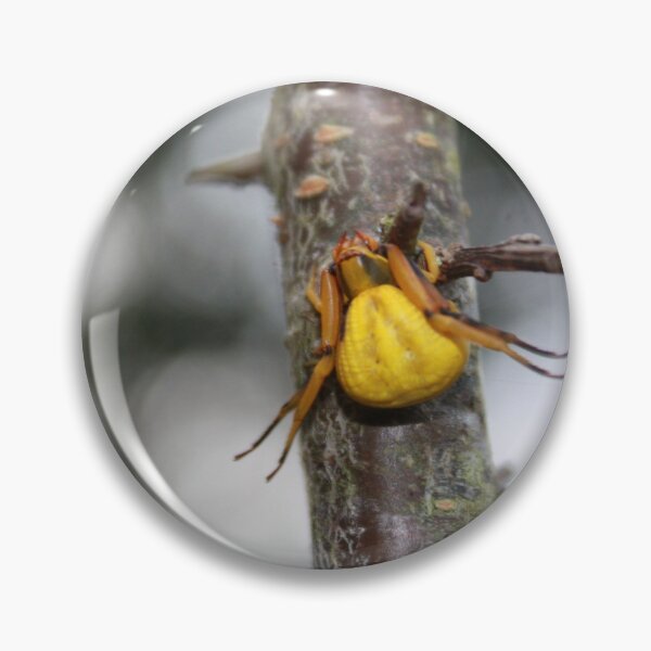 Item preview, Goldenrod Crab Spider!  designed and sold by chstudios.