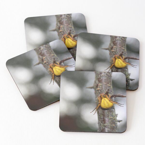 Item preview, Goldenrod Crab Spider!  designed and sold by chstudios.
