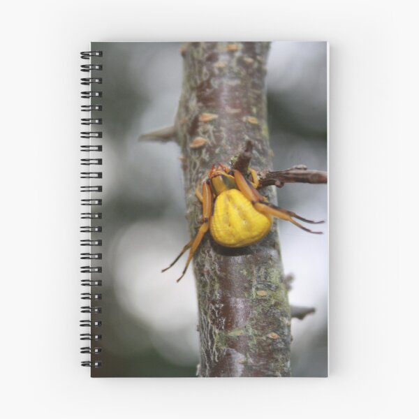 Item preview, Goldenrod Crab Spider!  designed and sold by chstudios.