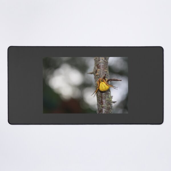 Item preview, Goldenrod Crab Spider! designed and sold by chstudios.