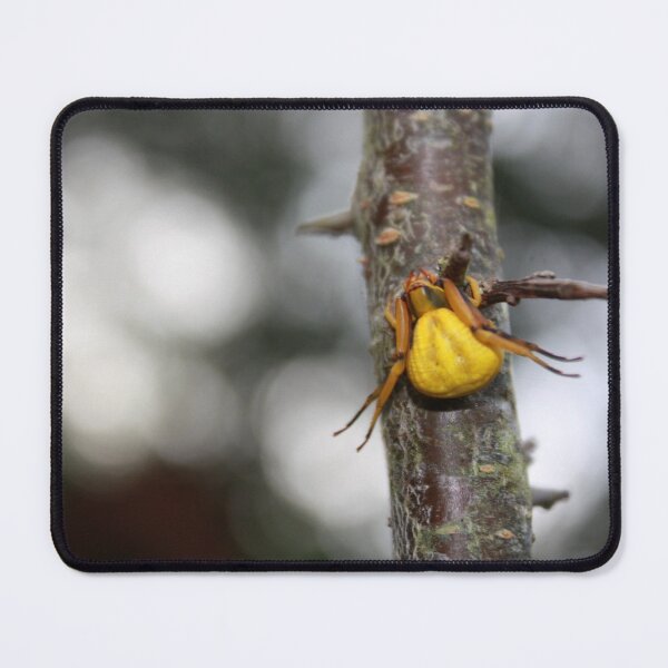 Item preview, Goldenrod Crab Spider! designed and sold by chstudios.