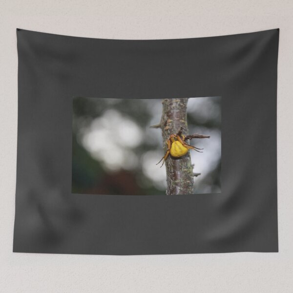 Item preview, Goldenrod Crab Spider!  designed and sold by chstudios.