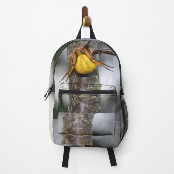 Item preview, Goldenrod Crab Spider! designed and sold by chstudios.