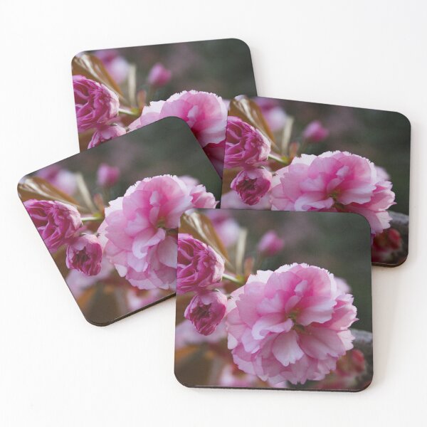 Item preview, H0117 Cherry Blossom designed and sold by photographyemd.