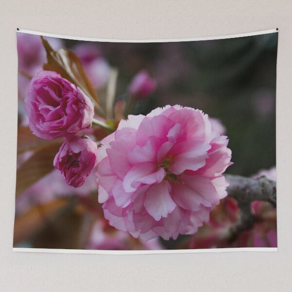 Item preview, H0117 Cherry Blossom designed and sold by photographyemd.