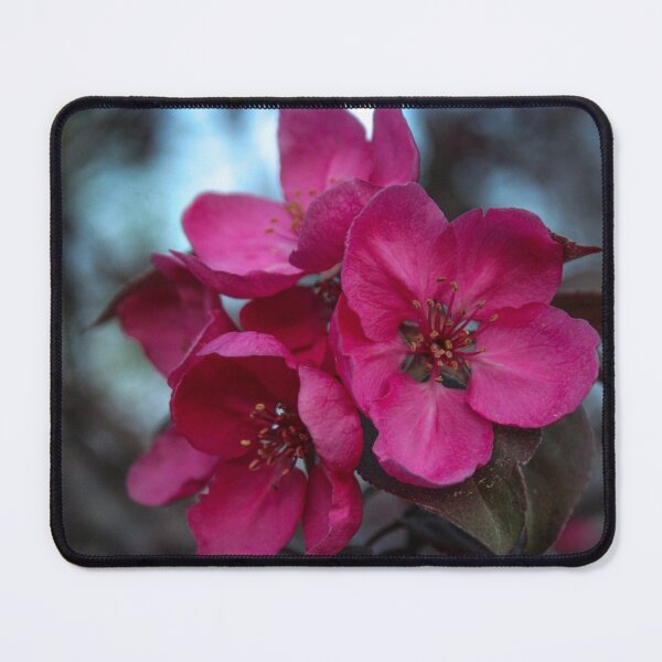 Item preview, H0118 Crabapple Tree designed and sold by photographyemd.