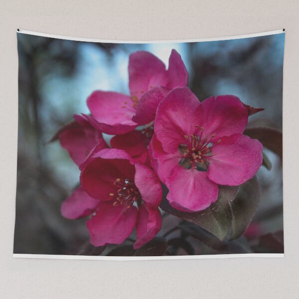 Item preview, H0118 Crabapple Tree designed and sold by photographyemd.
