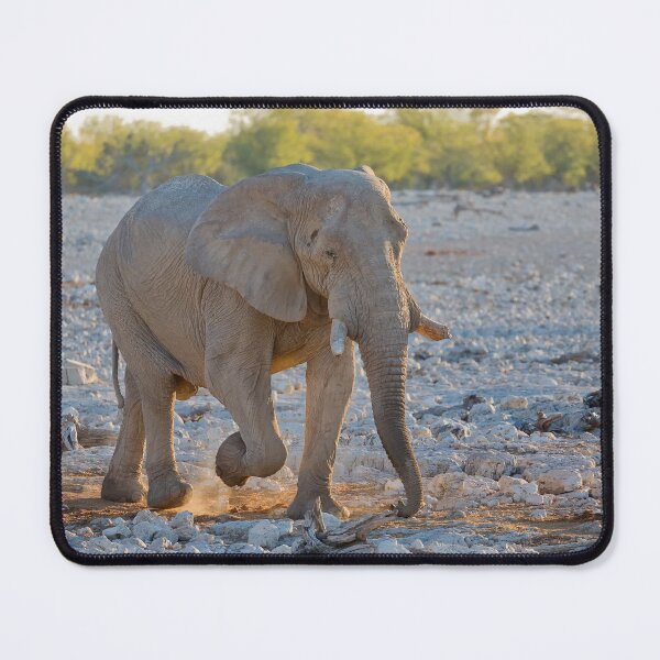 Item preview, African Bush Elephant (Loxodonta Africana) designed and sold by Yair Karelic.