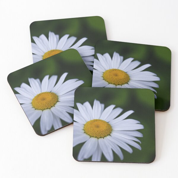 Item preview, H0123 Daisy designed and sold by photographyemd.