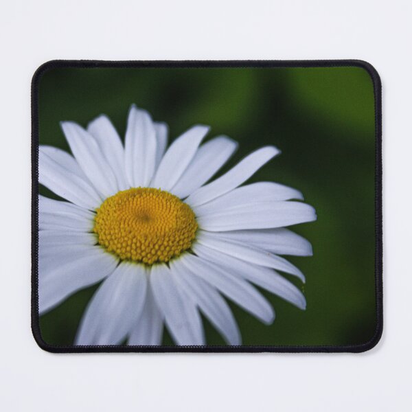 Item preview, H0123 Daisy designed and sold by photographyemd.