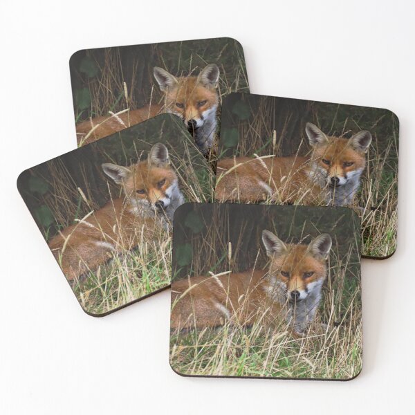 Item preview, An Adorable Red Fox designed and sold by Karen Thomson.
