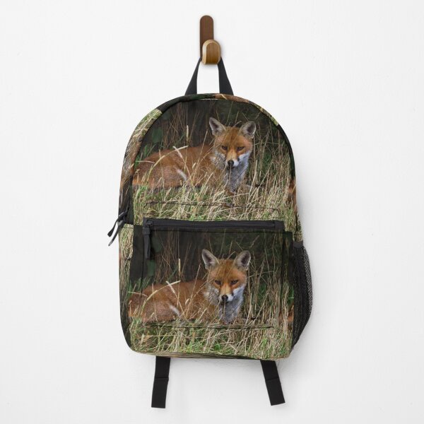 Item preview, An Adorable Red Fox designed and sold by Karen Thomson.