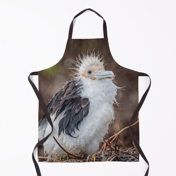 Item preview, Frigatebird Chick Galapagos designed and sold by PhotoArt by Joan Carroll.