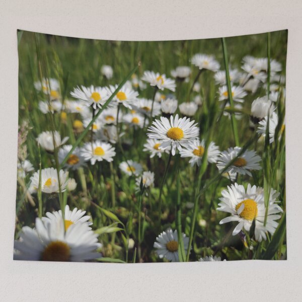 Item preview, daisy designed and sold by Gourmetkater.