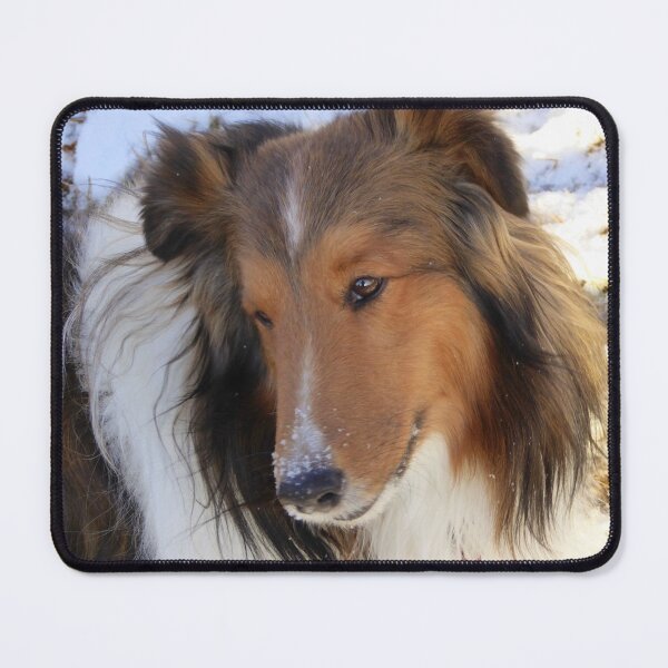 Item preview, Sheltie loves the Snow designed and sold by Shiva77.