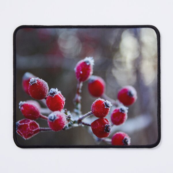 Item preview, H0126 Frozen Currants designed and sold by photographyemd.