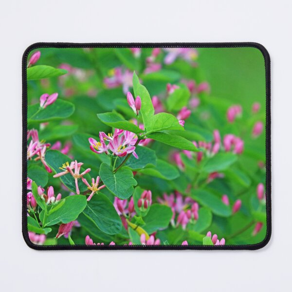 Item preview, Pink Honeysuckle designed and sold by Deb Oppermann.
