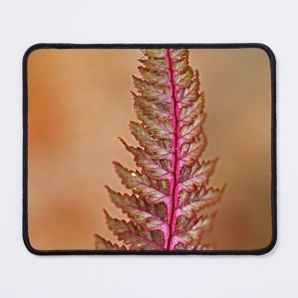 Item preview, Japanese Painted Fern designed and sold by Deb Oppermann.