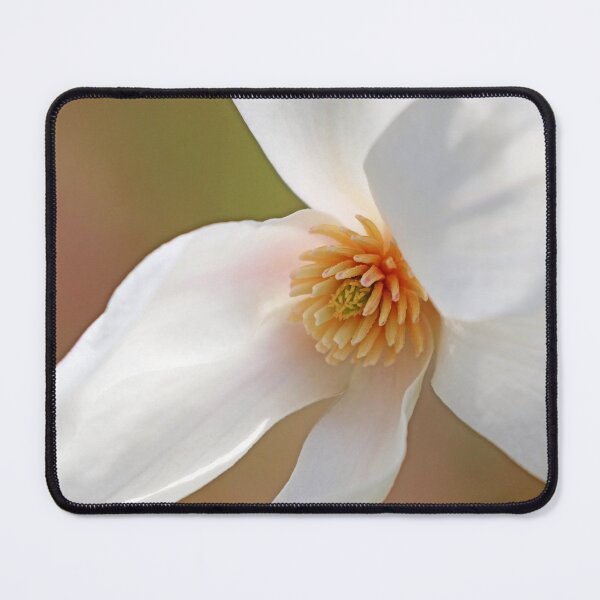 Item preview, Delicate Beauty Of The Magnolia designed and sold by Deb Oppermann.