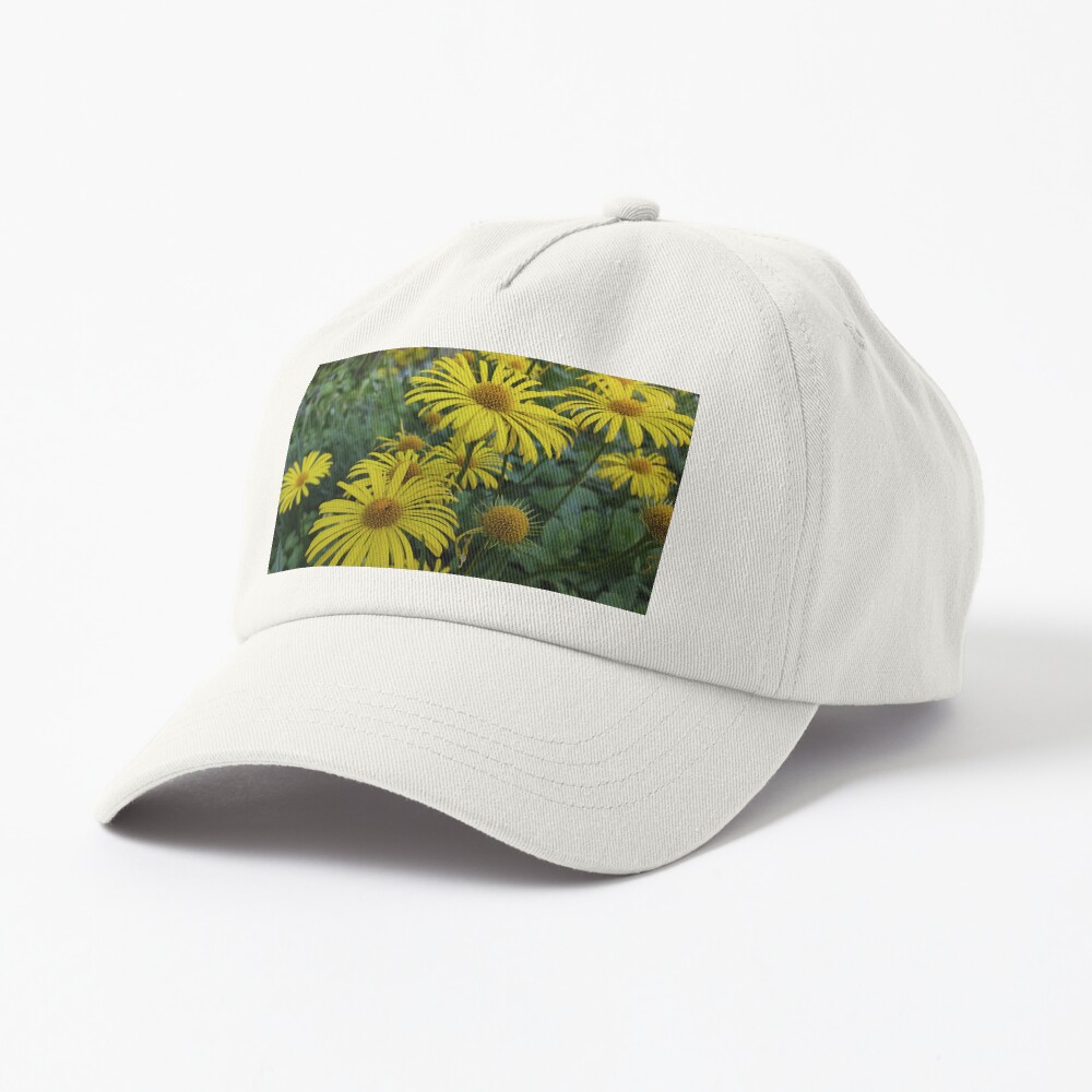 Kaukasischer Gemswurz Cap