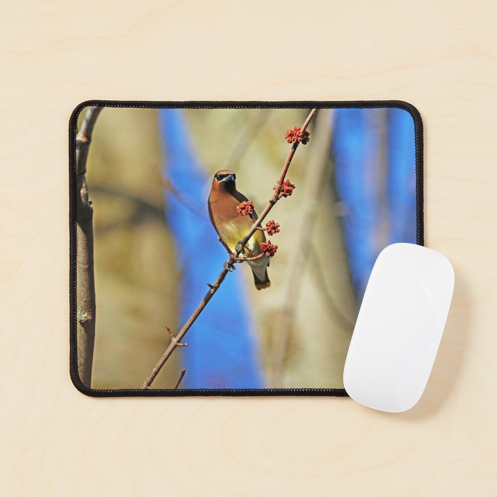 Item preview, Mouse Pad designed and sold by debop1.