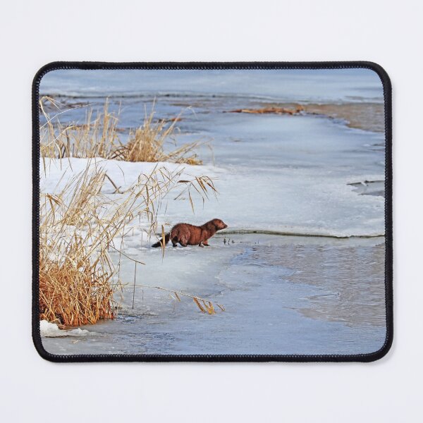 Item preview, Winter Mink designed and sold by Deb Oppermann.
