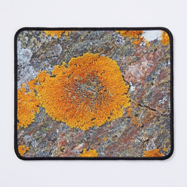 Item preview, Wreck Island Lichen On Rock designed and sold by Deb Oppermann.