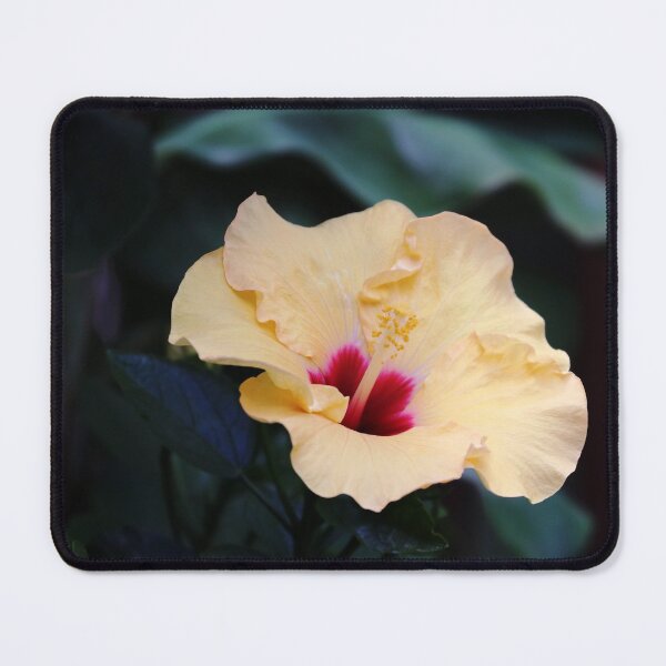 Item preview, Tropical Beauty designed and sold by Deb Oppermann.