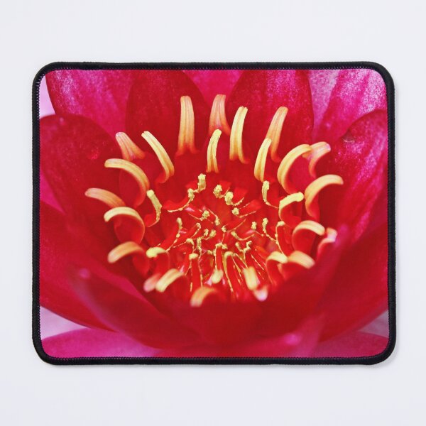 Item preview, Burgundy Princess designed and sold by Deb Oppermann.