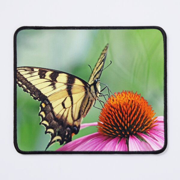 Item preview, Canadian Tiger Swallowtail designed and sold by Deb Oppermann.