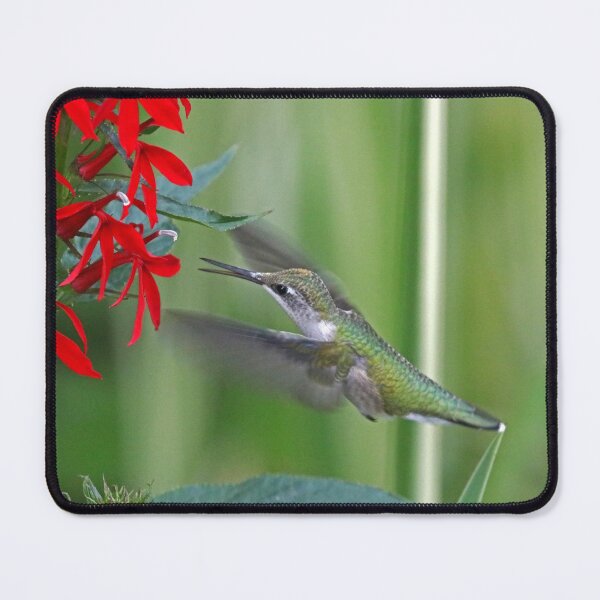 Item preview, Bright Red Invitation designed and sold by Deb Oppermann.
